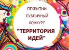 Итоги муниципального этапа ежегодного открытого публичного конкурса Воронежской области &quot;Территория идей&quot;.