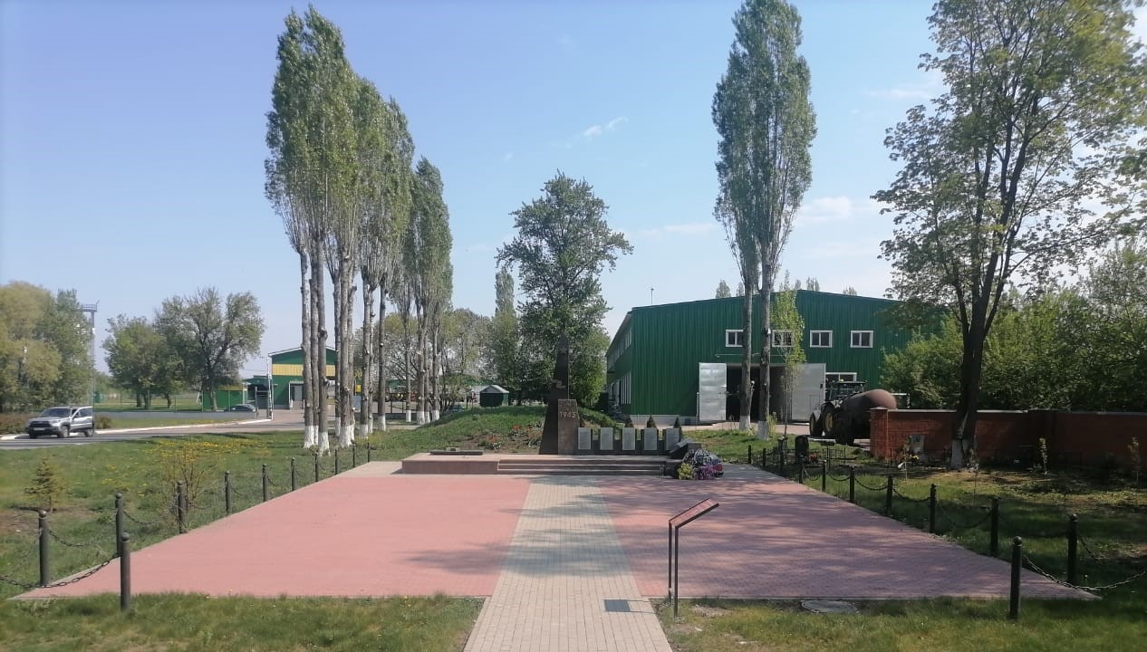 Изображения.